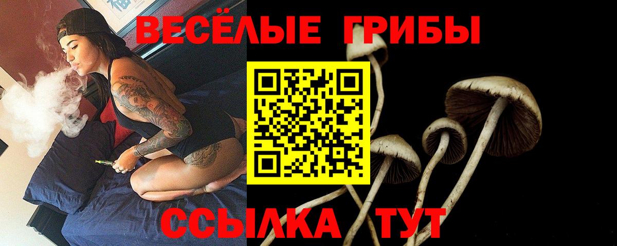 Псилоцибиновые грибы прущие грибы  Вход с VPN  Артём 